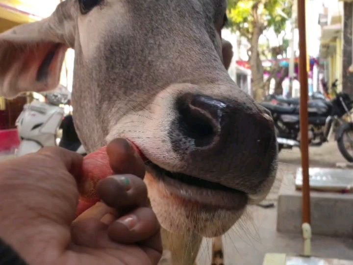 Thumbnail of p-bspkzibjeqw-9a92ab2012ac4331 3