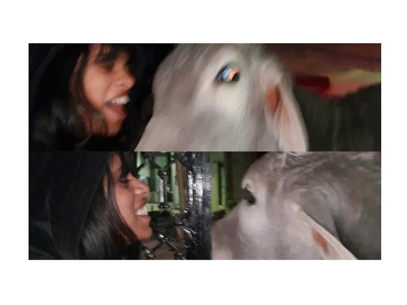 Thumbnail of p-bspkzibjeqw-9a92ab2012ac4331 4