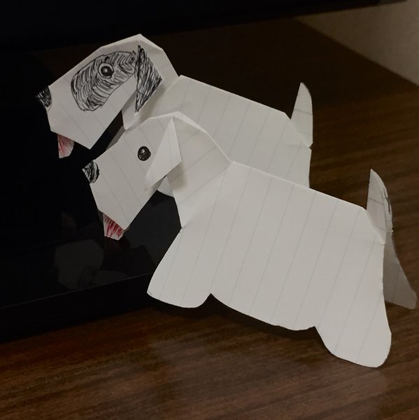 Thumbnail of p-bz3vsj0n9ru-9a9e5fe93bd8433e 0