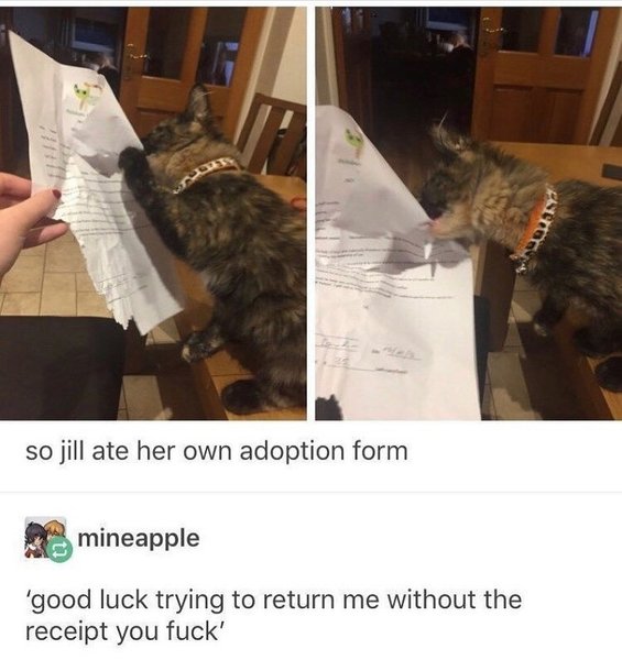 Thumbnail of p-byx6tewgpzo-9abcad1c55c04de7 0