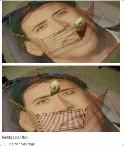 Thumbnail of p-b0lmc7vlrru-9aeaffca0e4e4005 0