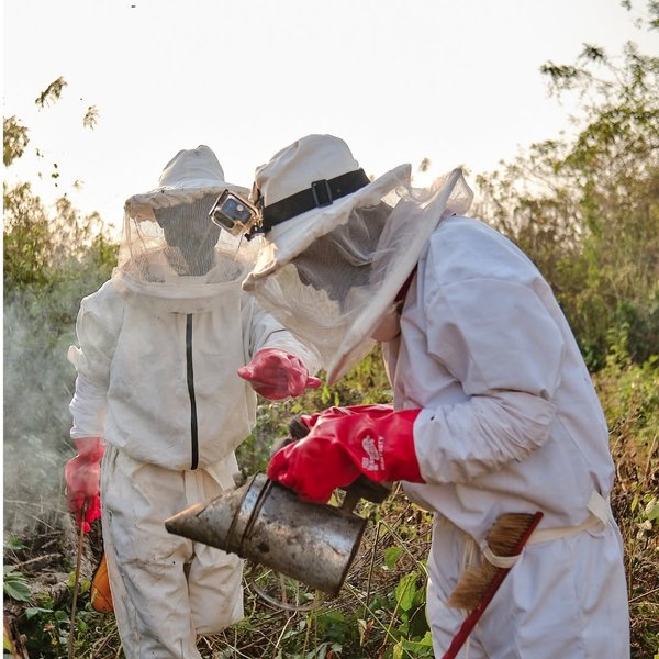 Thumbnail of q7-yvtyjp-9af207ee896a43ee 1