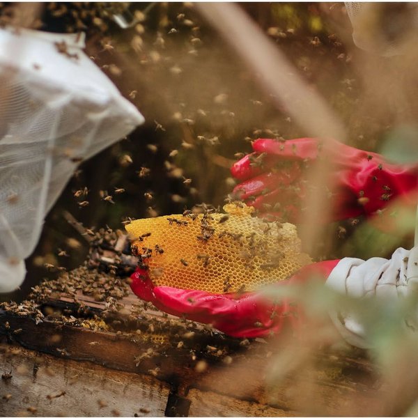 Thumbnail of q7-yvtyjp-9af207ee896a43ee 2