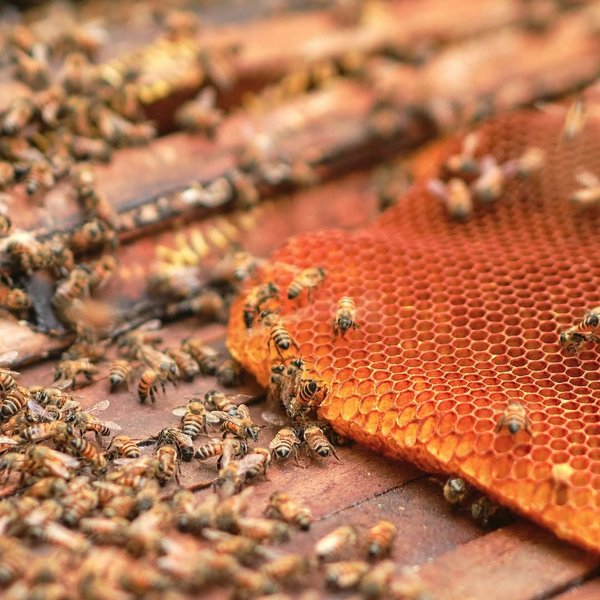 Thumbnail of q7-yvtyjp-9af207ee896a43ee 3