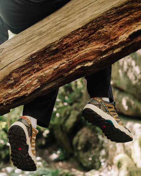 Thumbnail of p-cswjoand2za-9afe2cf207964c87 9