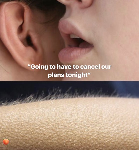 Thumbnail of p-cnce8edthy-9b219ca3b9174e96 2