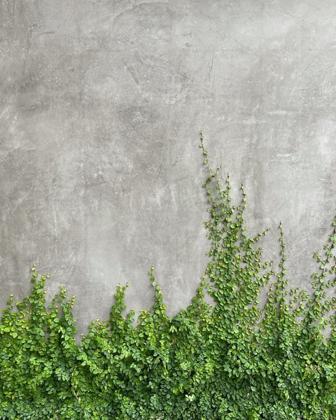 Thumbnail of p-csfaamvlrvv-9b27b724a4154d38 1