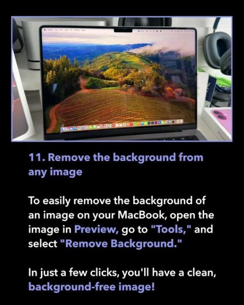 Thumbnail of p-dak5xrvizfj-9b38ea038fd24fd3 11