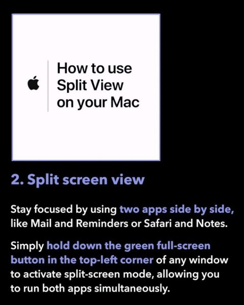 Thumbnail of p-dak5xrvizfj-9b38ea038fd24fd3 2