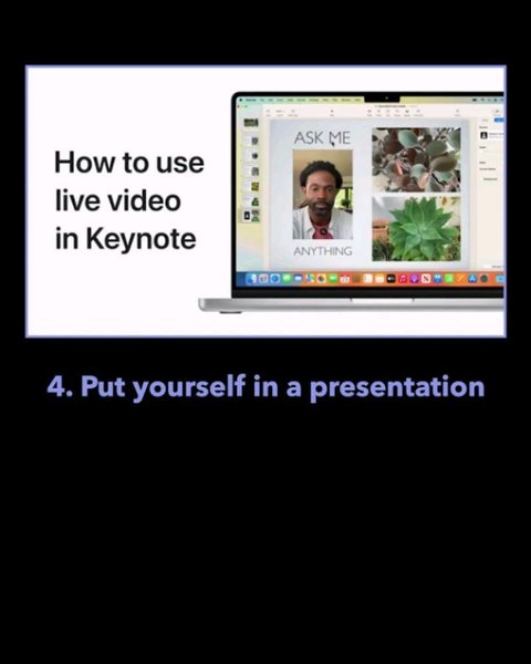 Thumbnail of p-dak5xrvizfj-9b38ea038fd24fd3 4