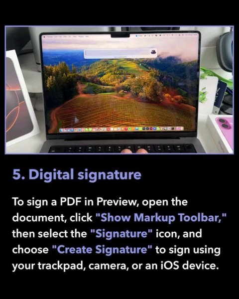 Thumbnail of p-dak5xrvizfj-9b38ea038fd24fd3 5