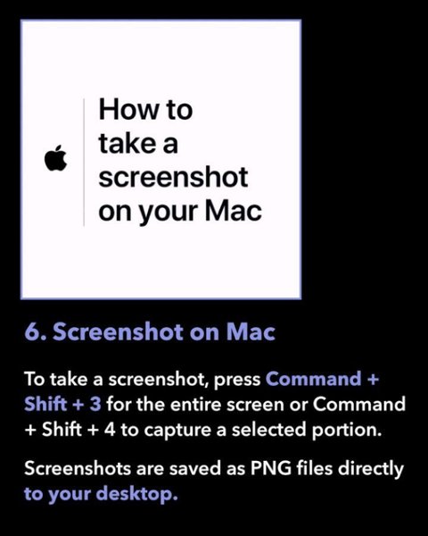 Thumbnail of p-dak5xrvizfj-9b38ea038fd24fd3 6