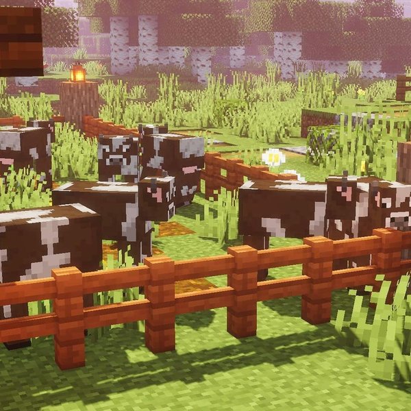 Thumbnail of p-b2rvednoypy-9b3ab01e0faf4612 4