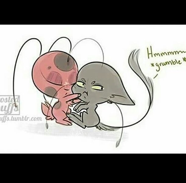 Thumbnail of p-bla2yfdn66x-9b5a971b1b614f07 2