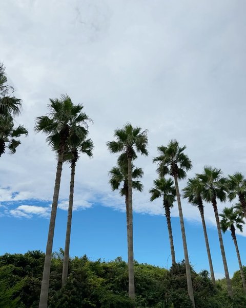 Thumbnail of p-cx5kuhzpskx-9ba4fecef41b41fe 7