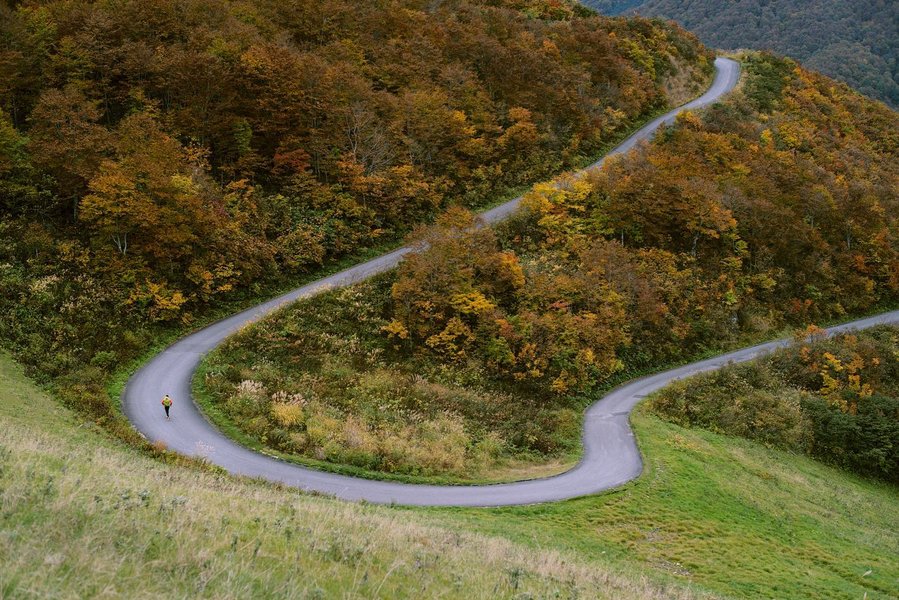 Thumbnail of p-cp5dm4lhhue-9bbb8f19ad344d4c 2