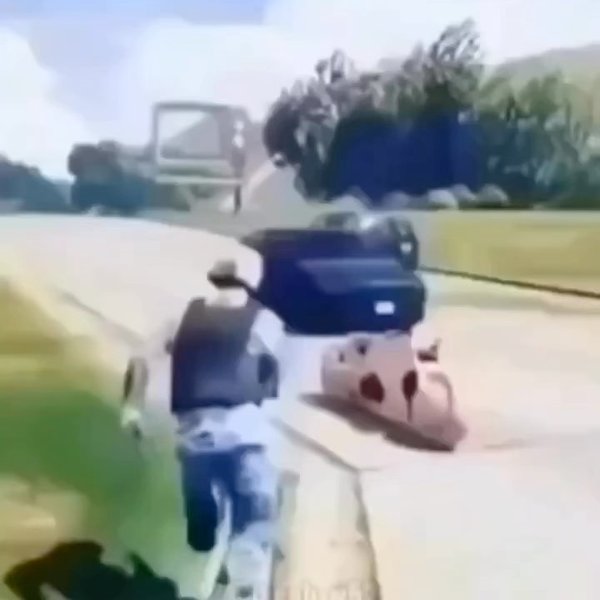 Thumbnail of cp5w57qsq-x-9bd1739713284c9d 5