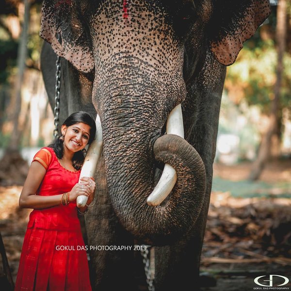 Thumbnail of p-bvi1qakp96f-9bd7cfe8f3da4984 0