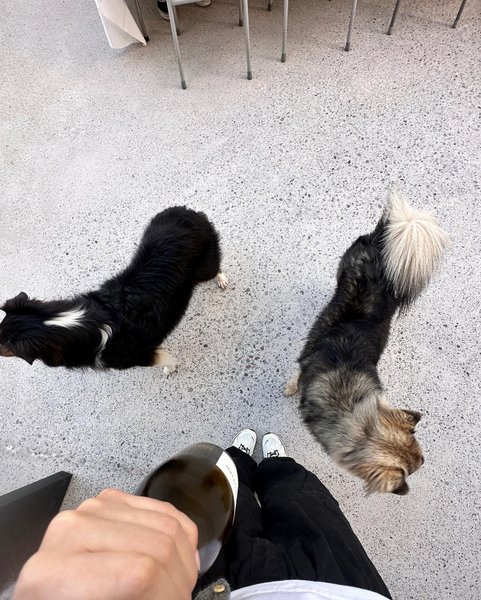 Thumbnail of p-cyghsinlud4-9c377f5b6b654ea5 3