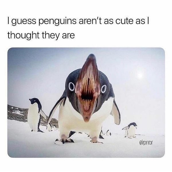 Thumbnail of p-bq7q9s2h1hu-9c4a25ed9312417e 0