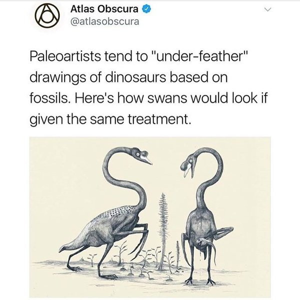 Thumbnail of p-bhwpt9khutx-9c7e6eb3928e46dd 0