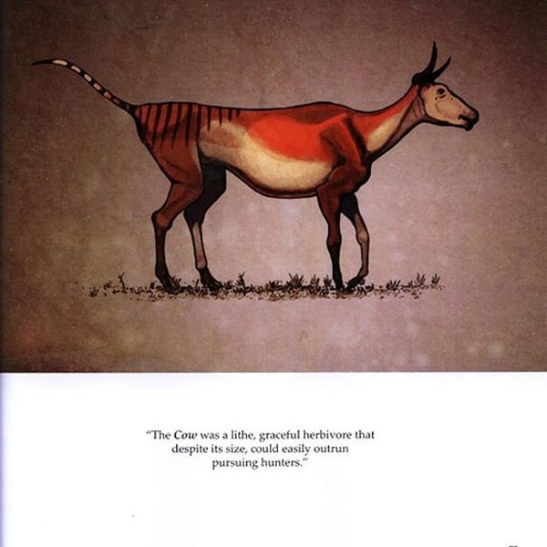 Thumbnail of p-bhwpt9khutx-9c7e6eb3928e46dd 2