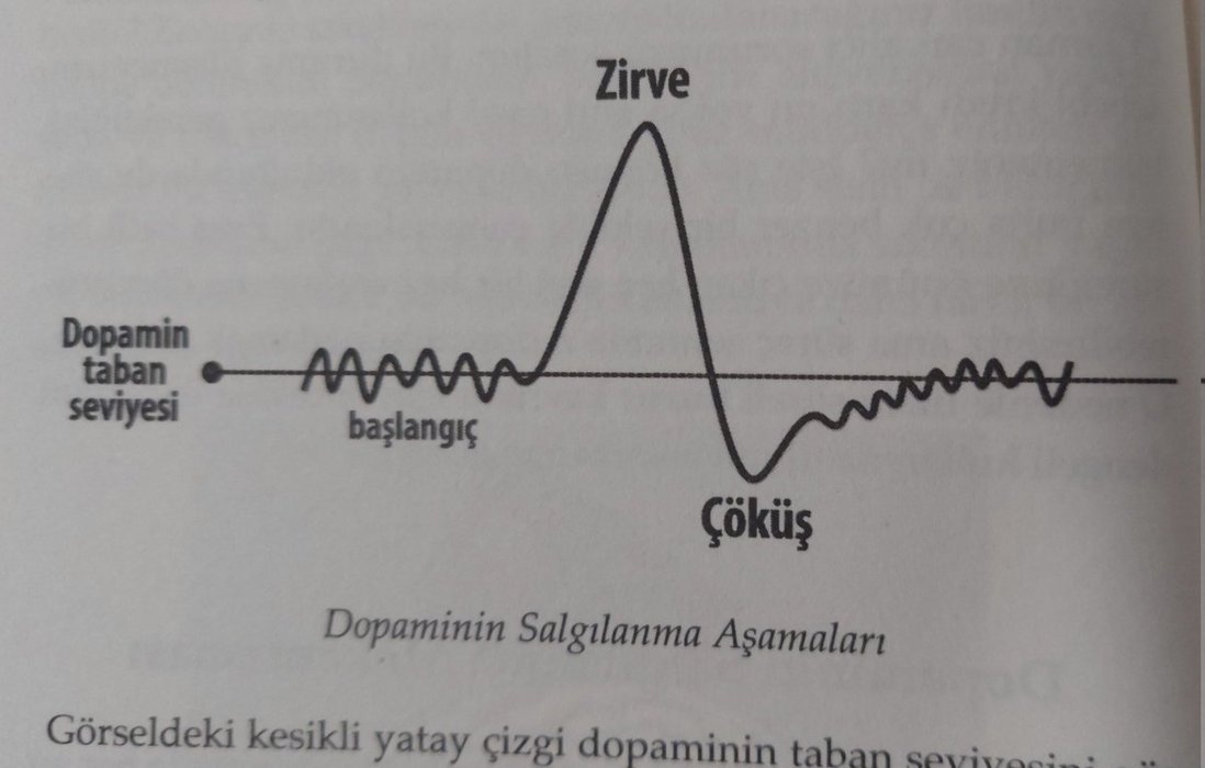 Thumbnail of www-x-com-furkangulsenn-status-1877295876244213883-9c81e3bdbdef4f30