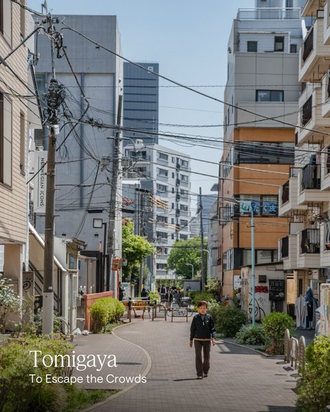 Thumbnail of p-dkj4kqko9rq-9cb2b939a8304000 1