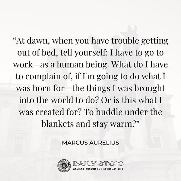 Thumbnail of p-cwei7d2rur7-9ccb7fa26cd84c1e 2