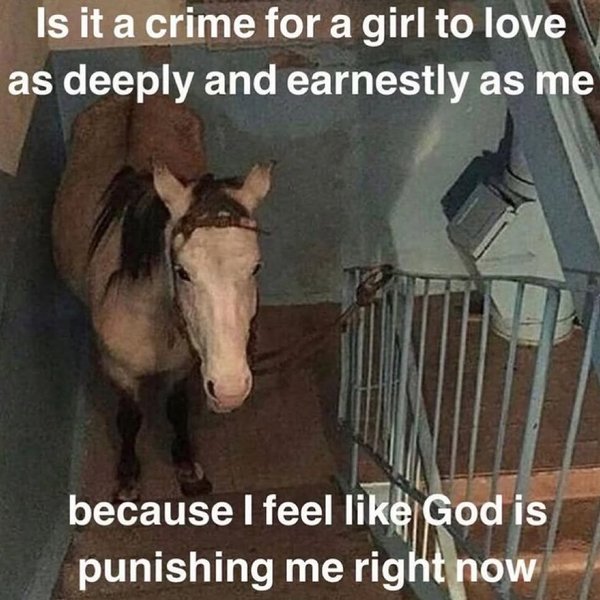 Thumbnail of p-c9klxvarj8q-9cea204f5f71464b 1