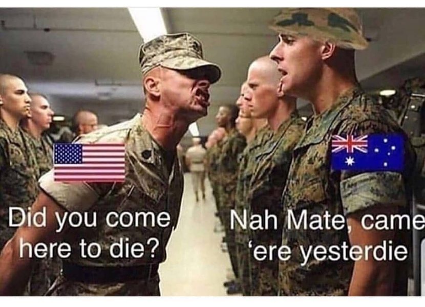 Thumbnail of p-b8jgiwcn7cm-9cf5233febc24afc 0