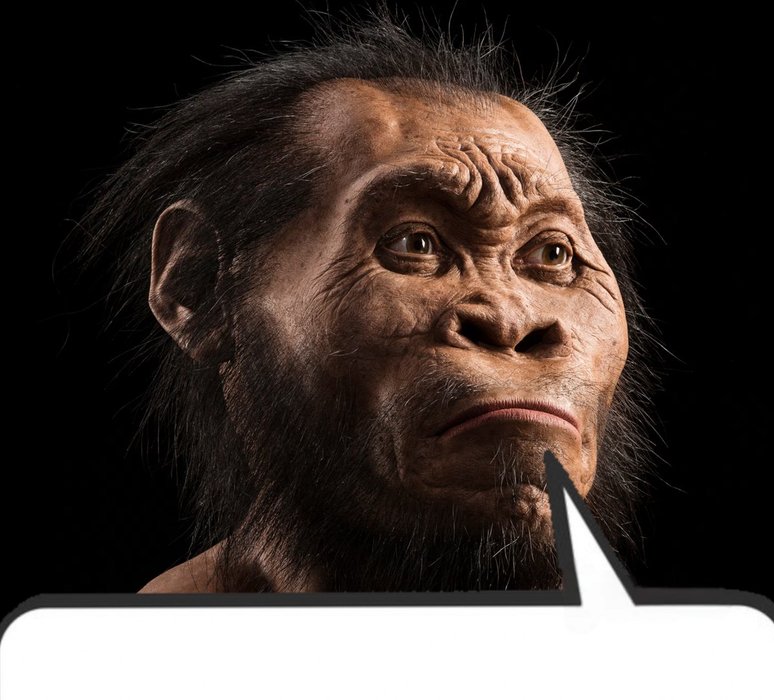 Thumbnail of www-x-com-iterintellectus-status-1894515630335791514-9d25c2de250846d8