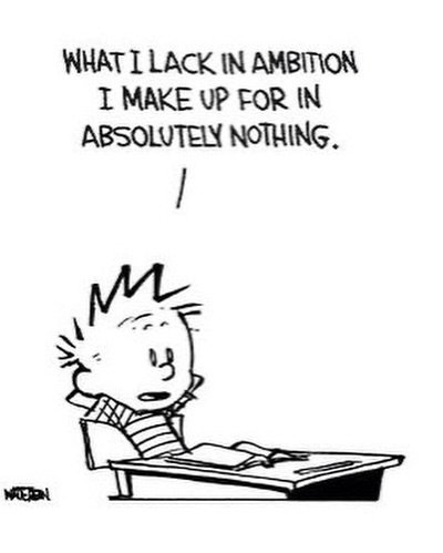 Thumbnail of www-instagram-com-p-dsozhkcflk 13