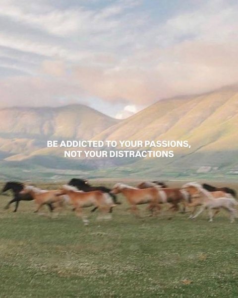 Thumbnail of www-instagram-com-p-dsozhkcflk 3