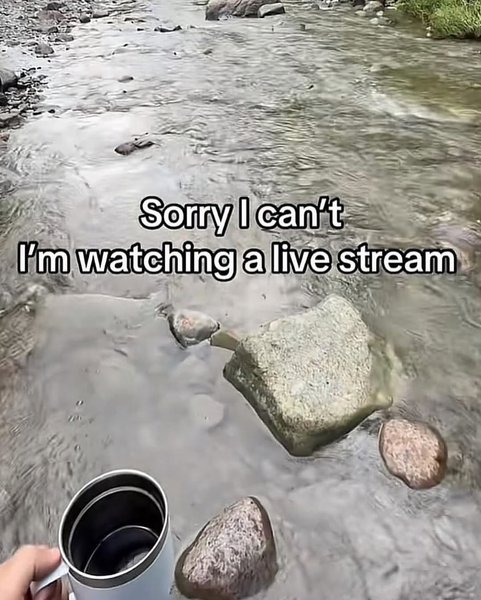 Thumbnail of www-instagram-com-p-dsozhkcflk 5