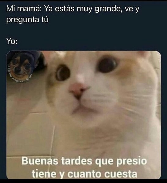 Thumbnail of p-ckkvjnfnf22-9d4b7d94bc164396 0