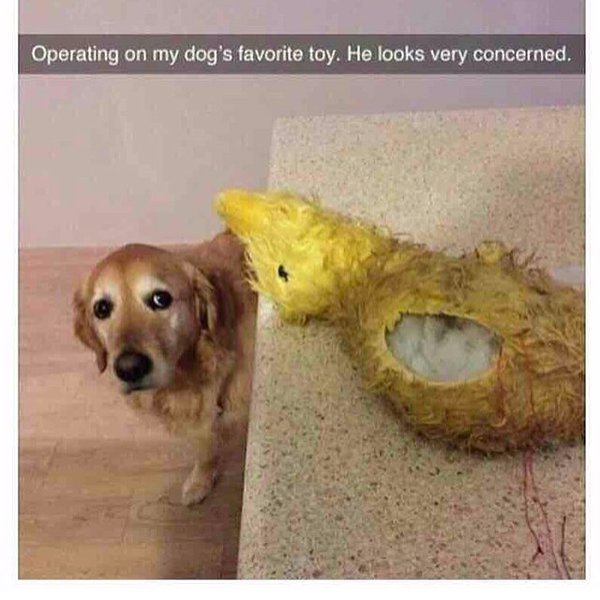 Thumbnail of p-btek0prjmog-9d58266305a04261 0