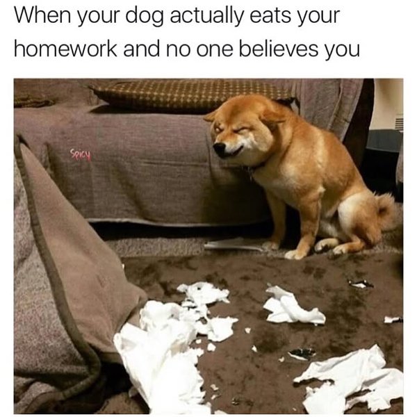 Thumbnail of p-btek0prjmog-9d58266305a04261 2