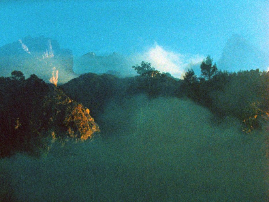 Thumbnail of www-x-com-xzetaprobe-status-1983660136746086681-9d684778059b489a