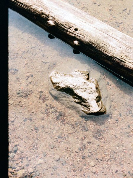 Thumbnail of p-dkw2xgitl3x-9dbfaacfcac447af 3