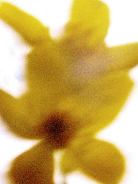 Thumbnail of p-dkw2xgitl3x-9dbfaacfcac447af 4