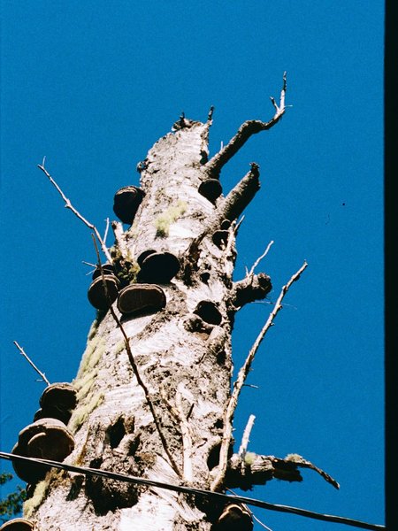 Thumbnail of p-dkw2xgitl3x-9dbfaacfcac447af 8