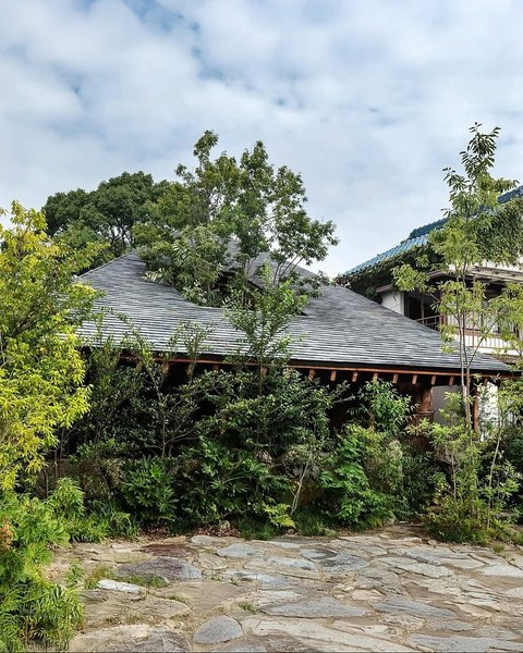 Thumbnail of www-instagram-com-p-dqgi-izgz7x 1