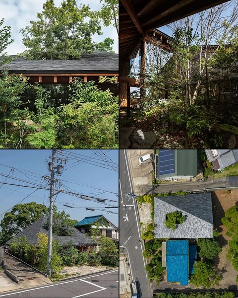 Thumbnail of www-instagram-com-p-dqgi-izgz7x 19