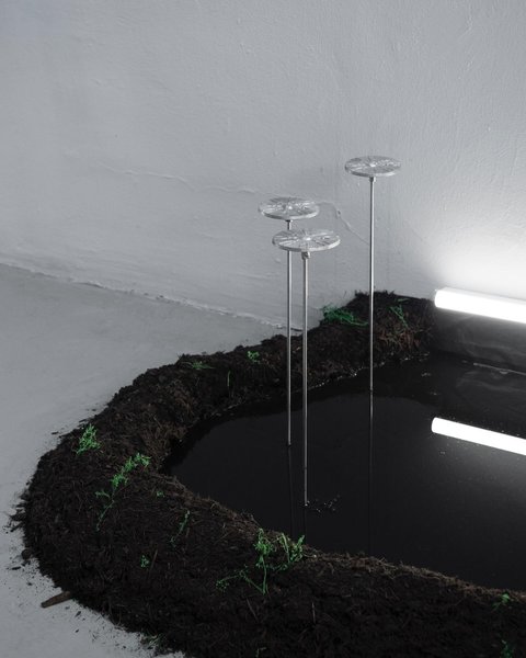 Thumbnail of c8evwccni-z-9df3867f6c5b4da5 3