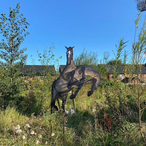 Thumbnail of p-cf1rromfevh-9dfb9f2cbab145a1 1