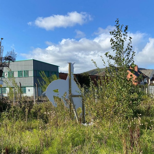 Thumbnail of p-cf1rromfevh-9dfb9f2cbab145a1 2