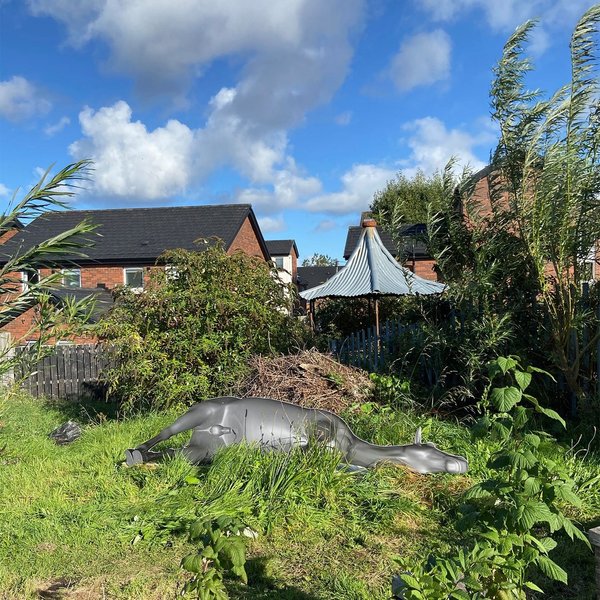 Thumbnail of p-cf1rromfevh-9dfb9f2cbab145a1 3