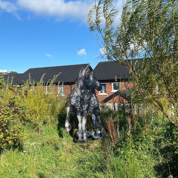 Thumbnail of p-cf1rromfevh-9dfb9f2cbab145a1 6