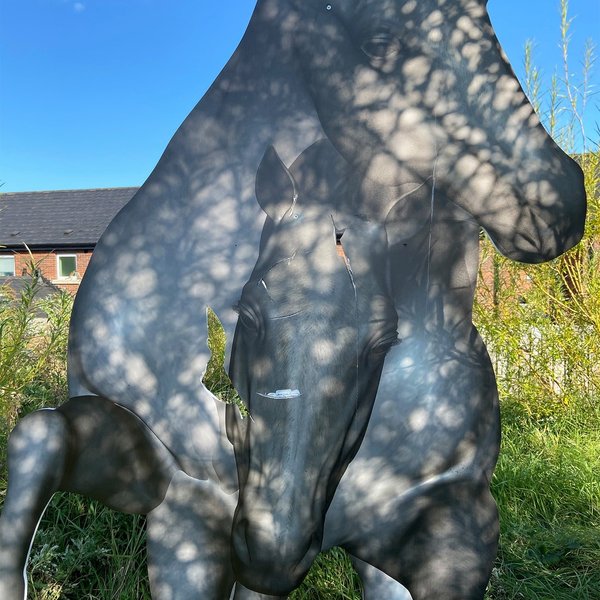 Thumbnail of p-cf1rromfevh-9dfb9f2cbab145a1 7